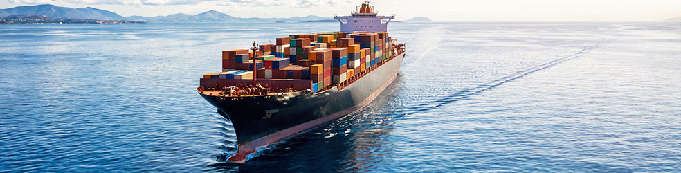 We have a dedicated team who handle all aspects of export and related documentation. Export Services